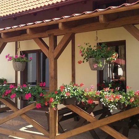 Domek Piotr 2 Стеґна Екстер'єр фото
